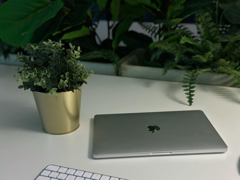 Easy Ways to Add Nature to Your Workspace for a Fresh Look